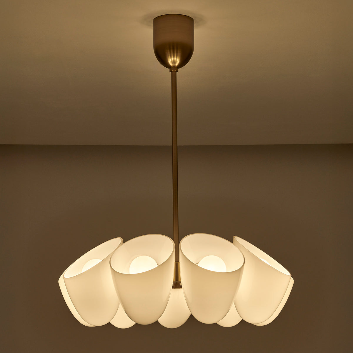 Cocoon 28-in 9 Light Socket Winter Brass Chandelier
