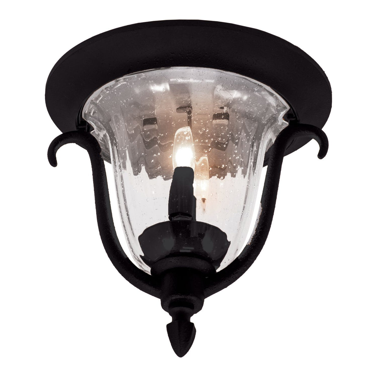 Santa Barbara Outdoor 11.5-in 2 Light Socket Matte Black Flush Mount