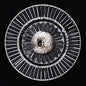 ROSETTA WALL SCONCE