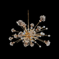 Constellation 30 Light Oval Pendant