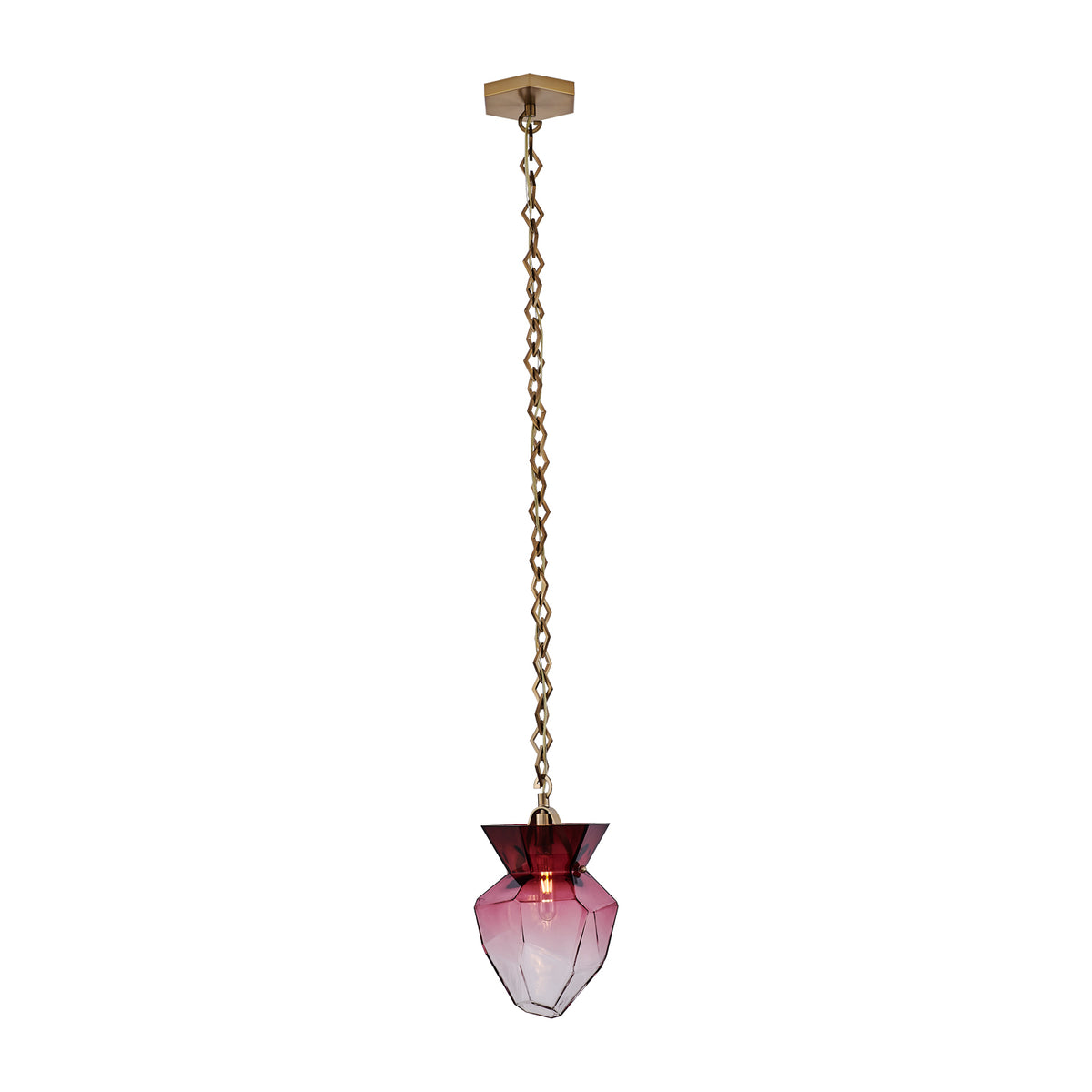 Bolsa 8-in 1 Light Socket Winter Brass Pendant