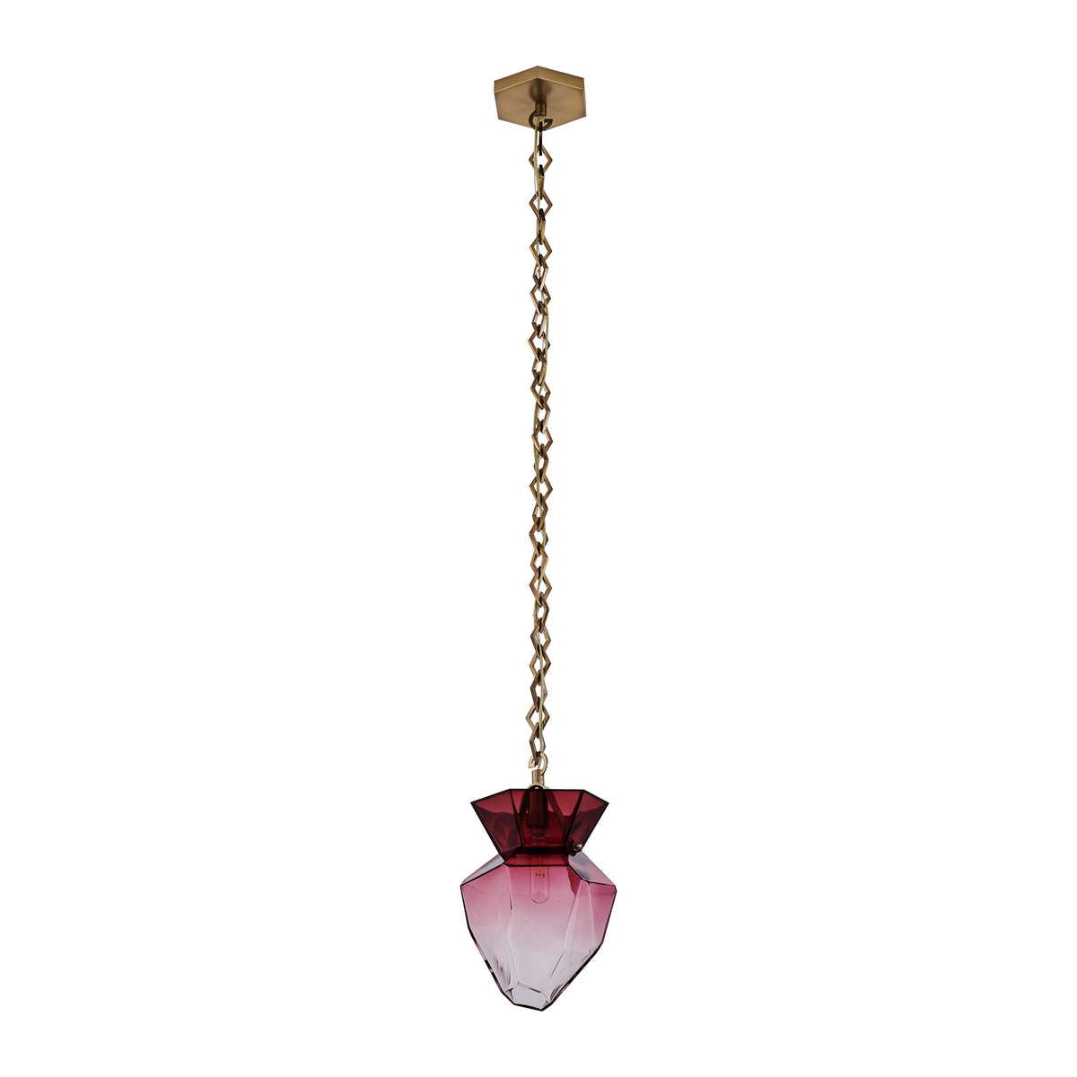 Bolsa 8-in 1 Light Socket Winter Brass Pendant